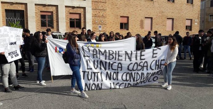 Rifiuti a Vibo, l’isola ecologica della discordia nella cittadella scolastica – Video