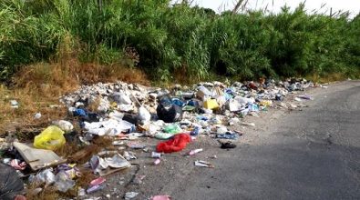 Depurazione e strade invase dai rifiuti a Vibo, incontro fra Comune e Corap