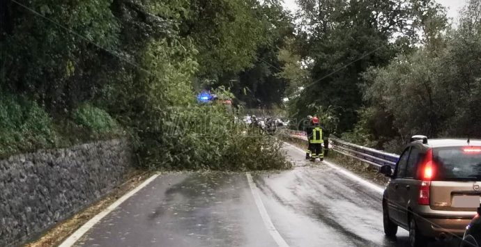 Allerta rossa, a Vibo chiusi sottopassi e strade. Fossi e torrenti “osservati speciali” – Video