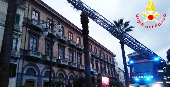 Rami pericolanti a Vibo in piazza Garibaldi, intervento dei vigili del fuoco