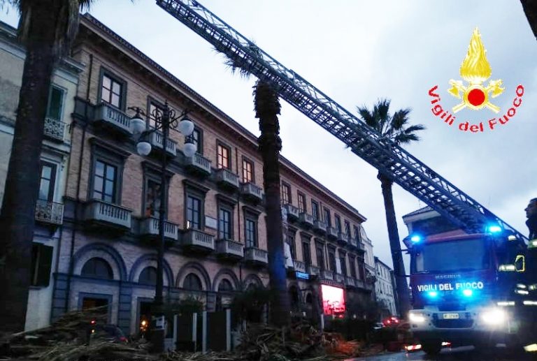 Rami pericolanti a Vibo in piazza Garibaldi, intervento dei vigili del fuoco