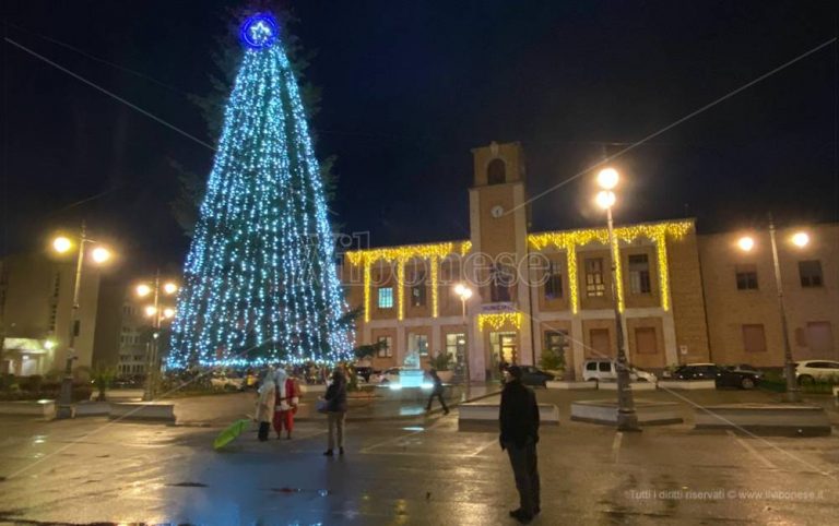 Si accende il Natale di Vibo, l’albero in piazza Municipio si veste di luce- Video