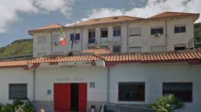 Comune di Pizzo, raccolta di abeti natalizi per creare un’area verde