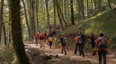 Un parco eolico a monte Coppari: «Previsto l’abbattimento di 2000 faggi»