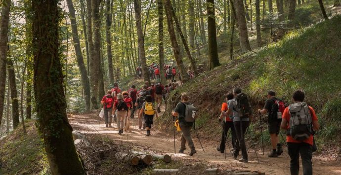 Un parco eolico a monte Coppari: «Previsto l’abbattimento di 2000 faggi»