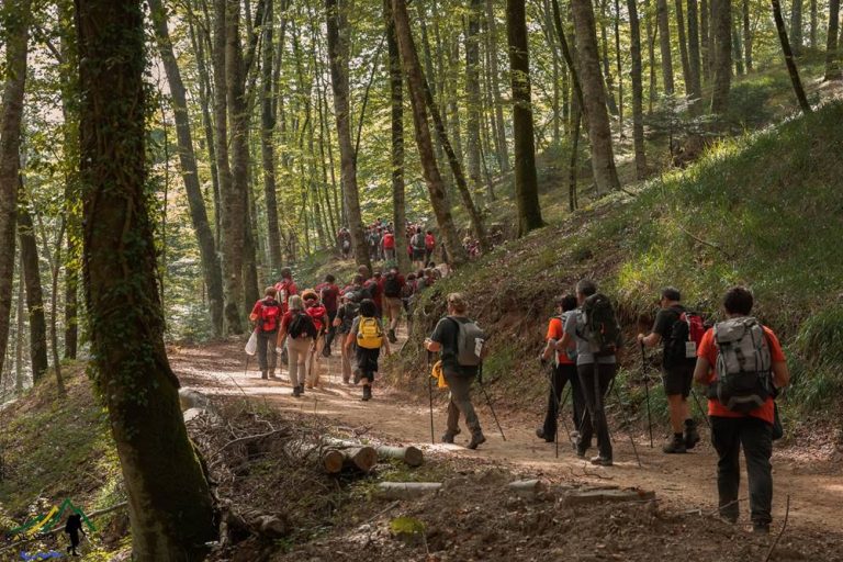 Un parco eolico a monte Coppari: «Previsto l’abbattimento di 2000 faggi»