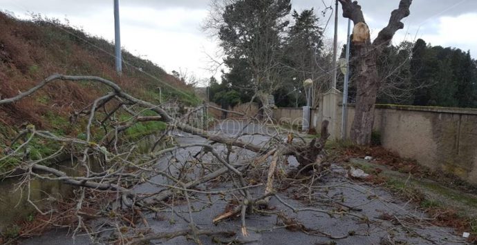 Vibonese sferzato dal vento forte, danni al tetto della Garibaldi di Vibo – Foto