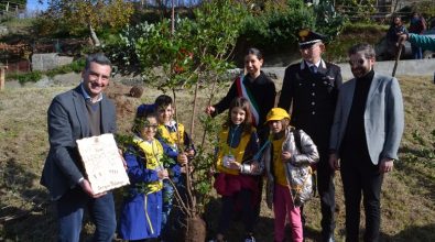 Gemellaggio fra le scuole di Santa Domenica di Ricadi e Santa Cristina