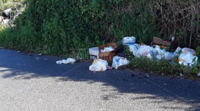 Vibo, incivili ancora in azione al cimitero nonostante la videosorveglianza – Foto