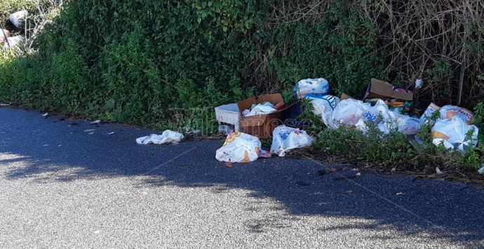 Vibo, incivili ancora in azione al cimitero nonostante la videosorveglianza – Foto