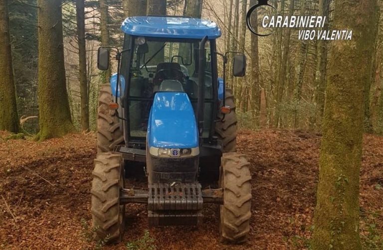 Tentano di riprendersi il trattore dopo il sequestro, arrestati padre e figlio di Serra