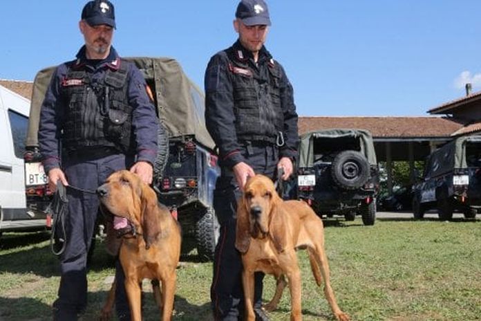 Scomparsa dei fratelli Mirabello, in campo cani molecolari e Cacciatori di Sardegna