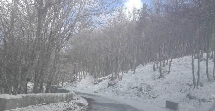 Temperature in picchiata, ecco la neve sulle Serre vibonesi – Foto