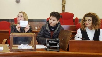 Vibo, eletto il vicepresidente della commissione Lavori pubblici