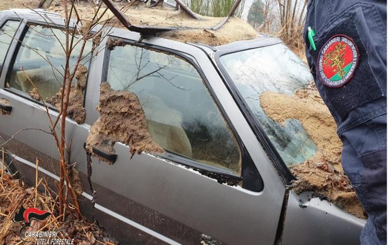 Veicoli abbandonati nel Vibonese, sanzioni dai carabinieri forestali