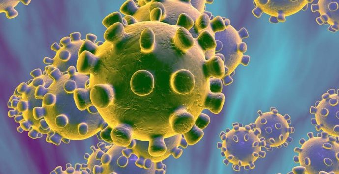 Coronavirus: oltre 500 casi a Vibo e 900 a Pizzo, stabili i ricoveri in ospedale