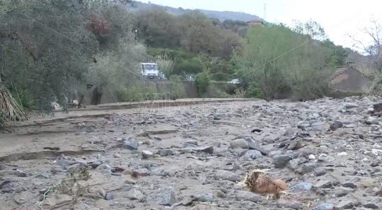 Maltempo, campi allagati tra Nicotera e Rosarno – Video