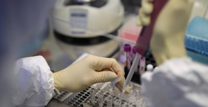 Coronavirus, un premio per i ricercatori calabresi impegnati nell’emergenza