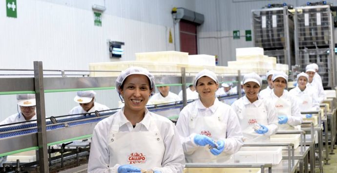 Premio di produzione da mille euro per i lavoratori della Tonno Callipo