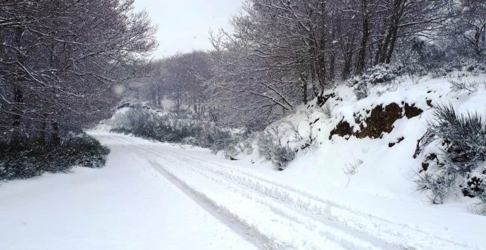 Primavera “rimandata”, la neve imbianca le Serre vibonesi – Foto