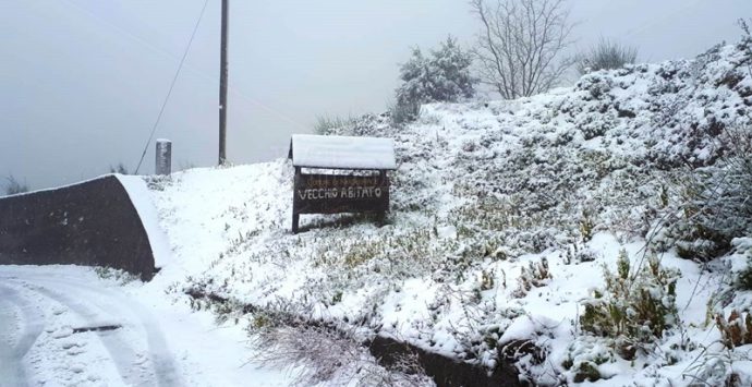 Primavera “rimandata”, la neve imbianca le Serre vibonesi – Foto