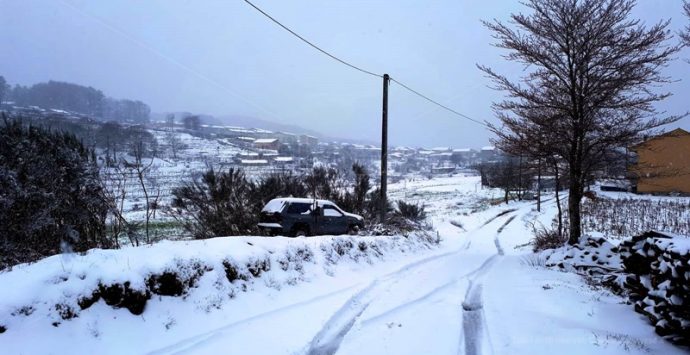 Neve nelle Serre: chiuse le scuole a Nardodipace