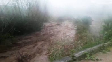 Pioggia torrenziale nel Vibonese, ingenti danni dall’entroterra alla costa – Video