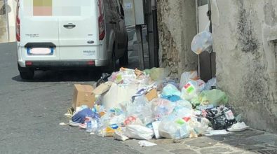 Cumuli di rifiuti in alcune vie di Vibo Valentia – Foto