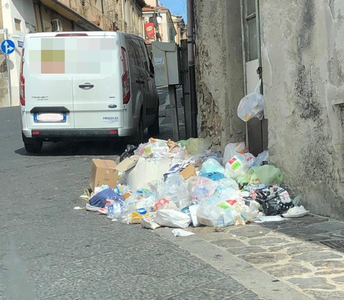 Cumuli di rifiuti in alcune vie di Vibo Valentia – Foto