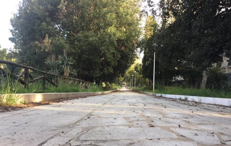 Comune di Vibo, approvato il Regolamento per la tutela del verde pubblico e privato