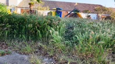 Bivona, spiagge sporche e piazzetta abbandonata: Patania chiede interventi