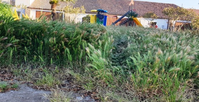 Bivona, spiagge sporche e piazzetta abbandonata: Patania chiede interventi