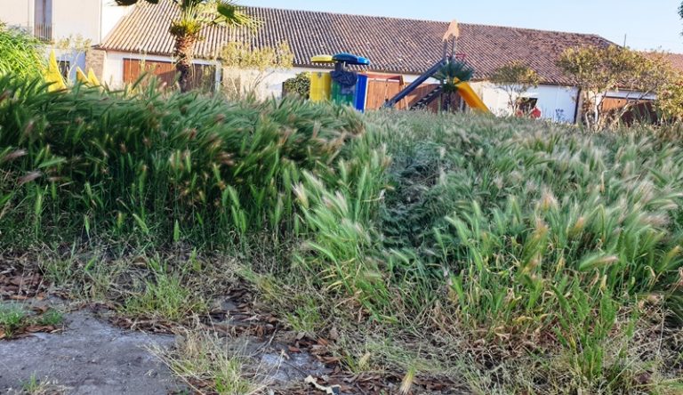 Bivona, spiagge sporche e piazzetta abbandonata: Patania chiede interventi