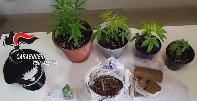 In giro con il cane ma a casa nascondeva droga, un arresto a Pizzo
