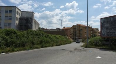 Vibo Valentia alle prese con le solite erbacce – Foto