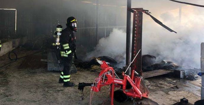 Stalla in fiamme a Motta Filocastro, animali salvati dai Vigili del fuoco – Foto