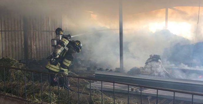 Stalla in fiamme a Motta Filocastro, animali salvati dai Vigili del fuoco – Foto