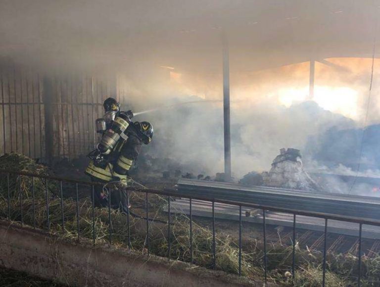 Stalla in fiamme a Motta Filocastro, animali salvati dai Vigili del fuoco – Foto