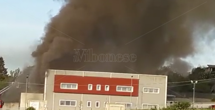 Incendio rade al suolo stabilimento dell’Artigiano della ‘nduja – Video/Foto