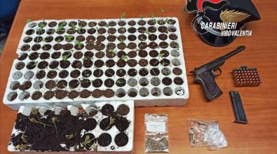 Armi, munizioni e marijuana: un arresto dei Carabinieri a Dinami