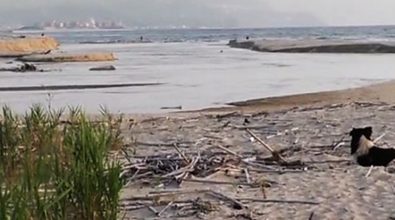 Mare inquinato nei pressi del fiume Mesima, ancora un divieto