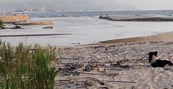 Mare inquinato nei pressi del fiume Mesima, ancora un divieto