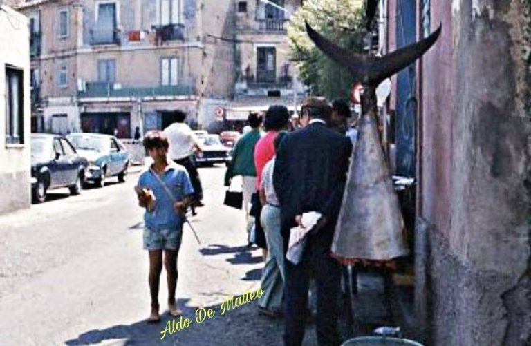 Pizzo e la pesca dei tonni: quei sapori ormai perduti nel tempo