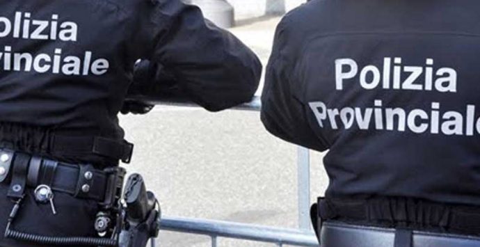 Provincia Vibo, Solano fa rinascere la Polizia provinciale. Ma serve aumentare le ore ai part-time