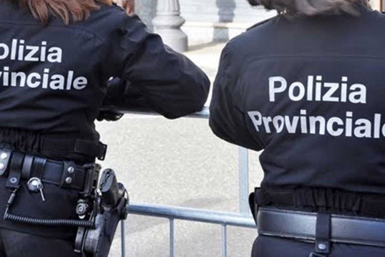 Provincia Vibo, Solano fa rinascere la Polizia provinciale. Ma serve aumentare le ore ai part-time