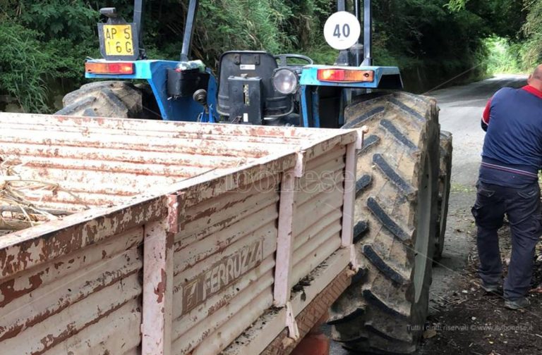 Degrado sulla Mileto-Dinami, gli ospiti del Maranathà ripuliscono la strada