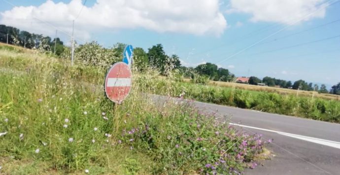 Incrocio pericoloso sulla Sp17 Vibo-Tropea, chiesta la messa in sicurezza