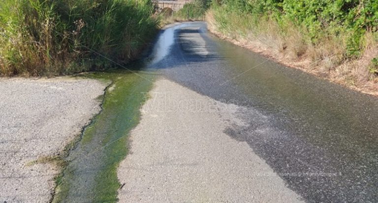 Capo Vaticano: perdita dal depuratore e rifiuti in strada, la denuncia di un turista