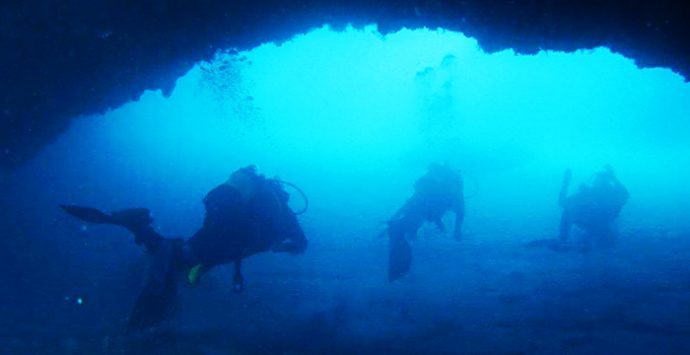 Riaprono i diving center, i fondali di Briatico e Zambrone svelano i loro tesori – Video