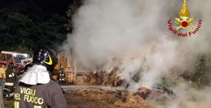 Incendio in una stalla ad Arena, vigili del fuoco salvano gli animali – Video